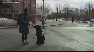 When a dog becomes part of the lesson plan...