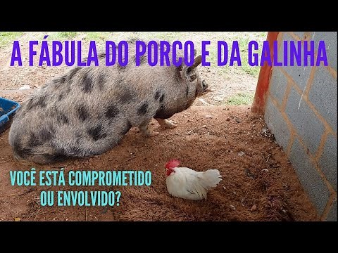 A FÁBULA DO PORCO E DA GALINHA - VOCÊ ESTÁ COMPROMETIDO OU ENVOLVIDO?