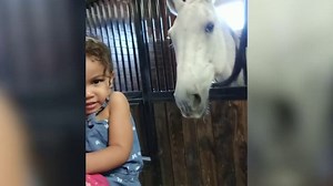 The Funniest Farm Animals Home Video Bloopers of 2018 Weekly Compilation