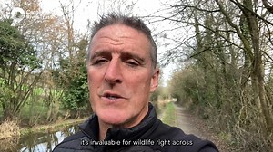 Hear from the wonderful Iolo Williams, naturalist and Springwatch presenter, as he talks about the important role canals play in providing habitats for nature 🌿💙 #ActNowForCanals | Canal & River Trust