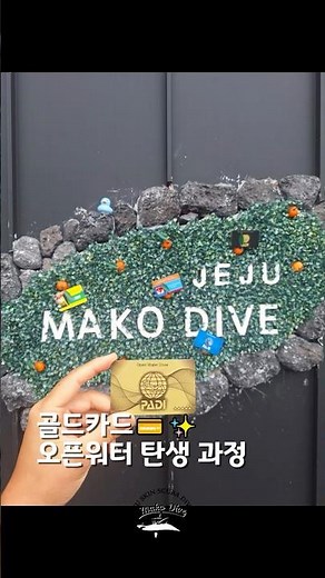 골드카드 PADI 오픈워터 되는 과정 #오픈워터 #스쿠버다이빙자격증