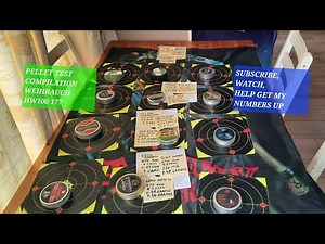 Weihrauch HW 100 in 177 Caliber Pellet Test Compilation and ranking #weihrauch #2025 #airgun