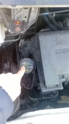 how to service a mk7 2.2 ford transit 5w_30 oil
