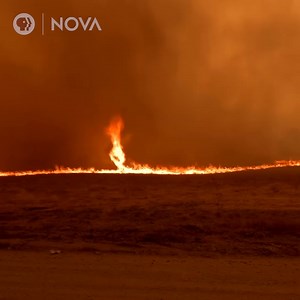 1M views · 6.6K reactions | As megafires become more common, so do deadly fire tornadoes. Here’s what causes the flames to start spinning: | NOVA l PBS | Facebook