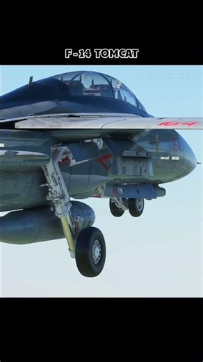 The F-14 Tomcat Up Close & Personal