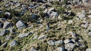 hills and rocky footage hot from a drone following a man up a steep hill toward a rocky out crop stepping over rocks looks back.. Rapaki track Christchurch New Zealand. Green grass and blue Skys