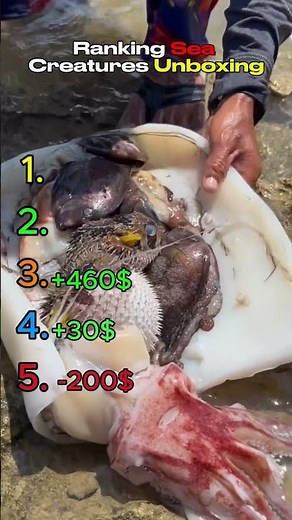 UNBOXING Sea Creatures!! #shorts #reveal