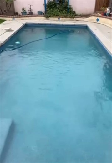 Look at that transformation!!! 🦠 🧼 ✨ Chlorine & acid wash, filter clean & chemical start up complete ✅ By our professional pool technicians Does your pool need service? We are here to help and open 7 days a week. Call our pool store at (562) 420-6583 #pools #poolservice #acidwash #chlorinewash #poolcleaning