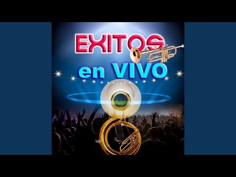 Rock del Sapo (En Vivo)