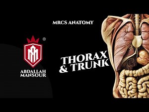MRCS Part B| MOCK OSCE revisions, Trunk and thorax part 1