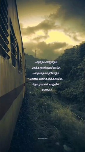 En Kadhale❣️ En Kadhale | S. P. Balasubrahmanyam | AR Rahman | Vairamuthu | #feelings #tamilsong