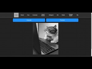 Build a FFMPEG GIF Animated Video & Image Editor in Browser Using gifsicle Library in Javascript