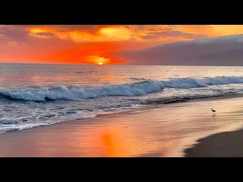 12Hours of Ocean White Noise For RELAXATION AND DEEP SLEEPING, Healing Waves Sounds for Inner Peace
