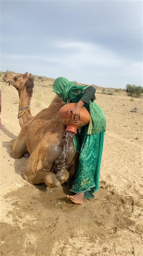 يجمع الصبي الماء ويحمله إلى ضفة النهر حيث يسكن.