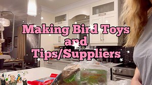 15K views · 569 reactions | Bird Toy Tips, Coco & The Party Ball  This video talks about making a party ball. More importantly I talk about toy parts, safety, where to purchase and other bird toy talk. Coming from someone who made bird toys for a living! | Lucky Lou and Coco Too | Facebook