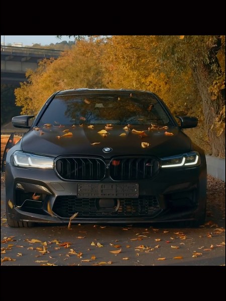 Name: Rhodafunk - Python funk 9 #phonk #funk #фонк #foruyou