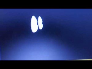 Maldonado network promo