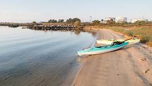 Bruce Beach fish hatchery lawsuit: Judge hears first arguments in lawsuit with city