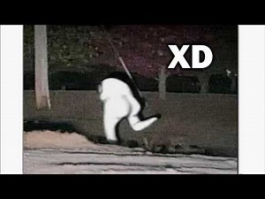 Half an Hour of XD Moments #192