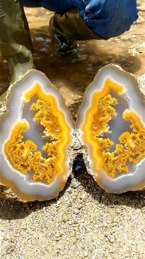 Yellow agate stone amazing beautiful #geology #naturalamethyst #adventure #satisfying #crystals #usa