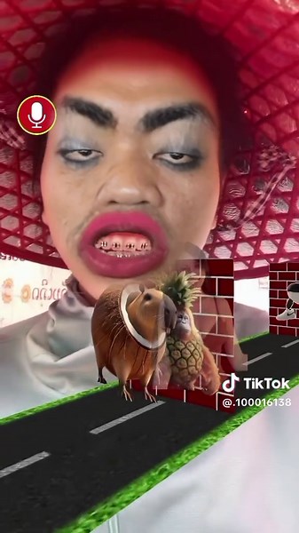 โตปลาโตช้าง: คิดถึงกันหรือยัง?