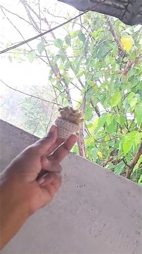 Mini cactus #crochet #handmade #yt #shorts