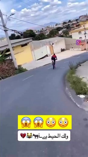 ‎الريف الهندي | Indian countryside‎ on Instagram‎: "😱🤦🏻🤦🏻😱😱😱😳😳😳😳 :: :: ::: ::: مطعم الريف الهندي استعد لرحلة نكهة لا تُنسى في مطعم الريف الهندي 🇮🇳🍛 حيث تمتزج التوابل الهندية الأصيلة مع لمسة من الإبداع والتميز. كل طبق يُعدّ بشغف ليأخذك إلى عالم من المذاق الفاخر والنكهة الحيدرآباديّة الأصيلة. الريف الهندي… حيث يصبح الطعم عادة! 🔥 ——— #مطعم #الريف_الهندي #اكسبلور #اكسبلور_فولو #اكسبلور_فولو #جامعة_الشرقية #اليحمدي"‎