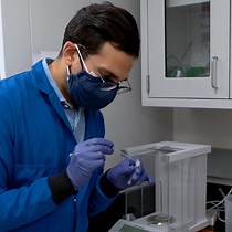 Video: Injectable Supramolecular Polymer-Nanoparticle Hydrogels for Cell and Drug Delivery Applications