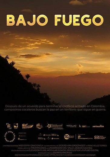 Bajo Fuego - película: Ver online completa en español