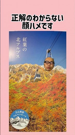 みんなの顔ハメパネル選手権 #おもしろ #おすすめ #顔ハメ