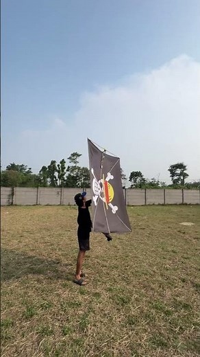 Cool! One Piece Pirate Flag Remote Control Kite #rc #diy #kite #creative #onepiece
