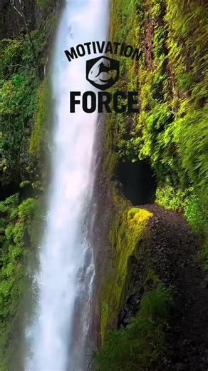 #motivationforce #conseil #inspiration #citation