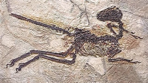 Why Mars forces us to rethink civilization itself