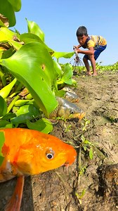 Amazing rural fishing in india | Fishing Village