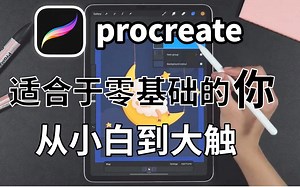 【procreate教程】全套教程！从新手入门到精通，包含所有绘画风格！