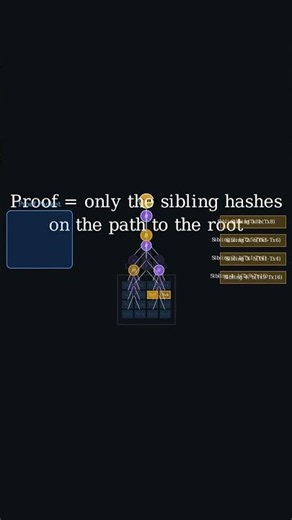 Merkle Trees: Proof by Following Hashes (Animated Explanation)