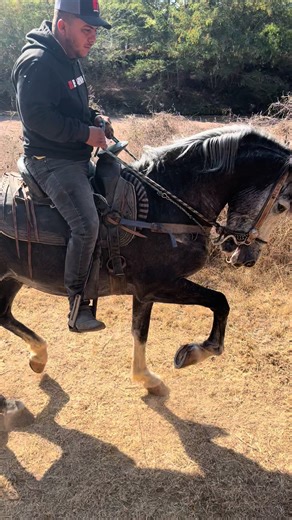 Chespirito Jr: Exciting Live Performance Highlights