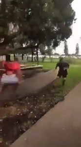 316K views · 1.6K shares | #RunItStraightChallenge | The Rugby League Sin Bin | Facebook