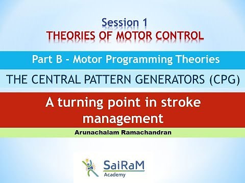 THEORIES OF MOTOR CONTROL Part B - Motor Programming Theories "THE CENTRAL PATTERN GENERATORS"