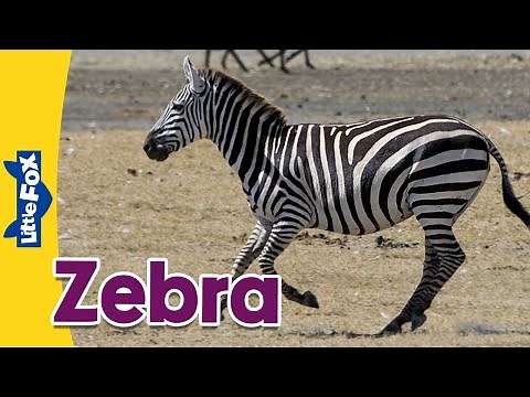 Meet the Animals | Horses | Zebra | Stories for Kindergarten