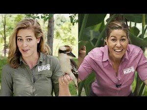San Diego Zoo Wildlife Explorers Corner Episode 14: Amphibians
