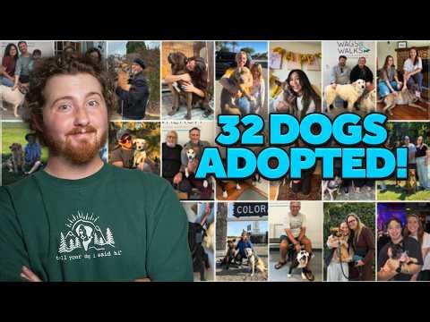 You've Helped Us Give These Dogs Homes! (But There's Still More!)
