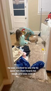 2M views · 27K reactions | They’re best friends funny dog  #dog #man #funnydog #fyp #funny #funnydogs #funnyvideos | Funny Cat | Facebook