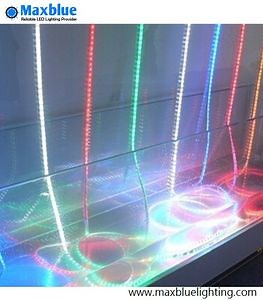 [Hot Item] RGB LED Strip/LED Strip Light/Flexible LED Strip Light