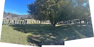 Why P.S. Projects Start with a Memory