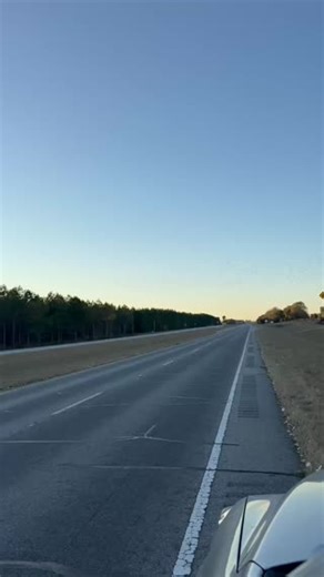 8.5K views · 238 reactions | Bird migration away from the storms....