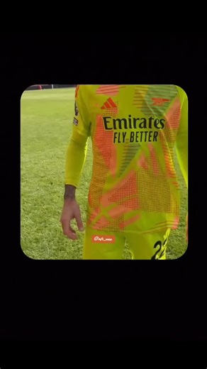 David Raya: The Best Goalkeeper in the World