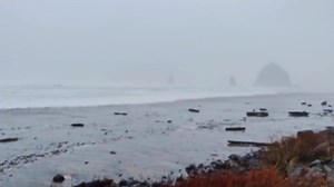This is two sneaker waves back to back. At about 35 seconds in, a huge one comes in like a mini tsunami. I was safely above and off the beach. This is why you should NEVER turn your back on the ocean or head onto the beach when there are sneaker wave warnings. It'll knock you down and the rip currents will drag you out to sea. #oregoncoast #oregon #pacificocean #tsunami #sneakerwave | James Mead