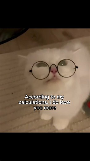 Hmm🥸 #cats #cute #love #cattok #relatable | cats