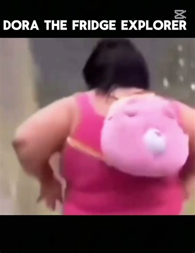 Dora the fridge exploder